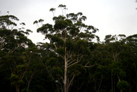 DSC01519