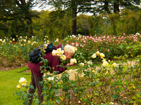 UK 2009 14