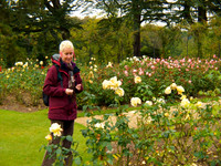 UK 2009 15