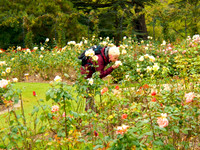 UK 2009 13