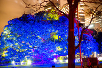DSC04502.jpg