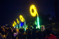 DSC04484.jpg