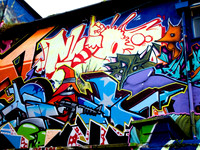 Brighton 10-OCT-08  115