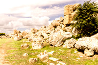 DSC00442 - 2013-09-19-17.jpg