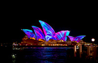 DSC04395.jpg