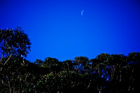 Blue Mountains 2010 28