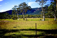 Blue Mountains 2010 102