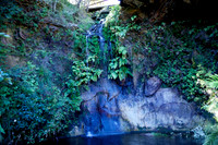 Blue Mountains 2010 74